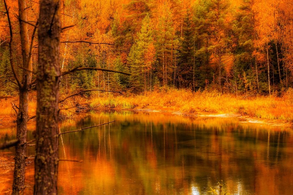 Photograph by Паша Савельев