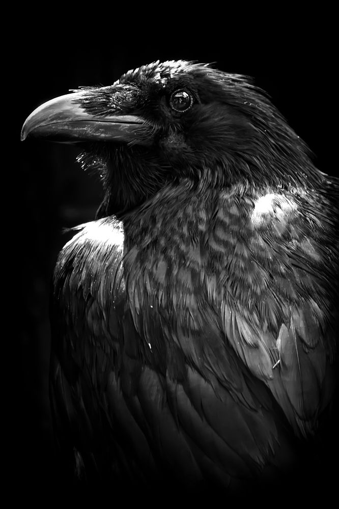 Photograph by Сергей Феофанов