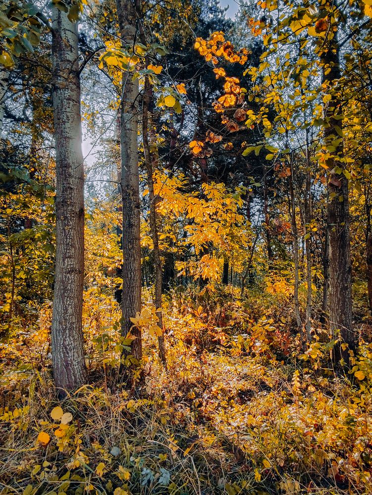 Photograph by Олеся Хижко