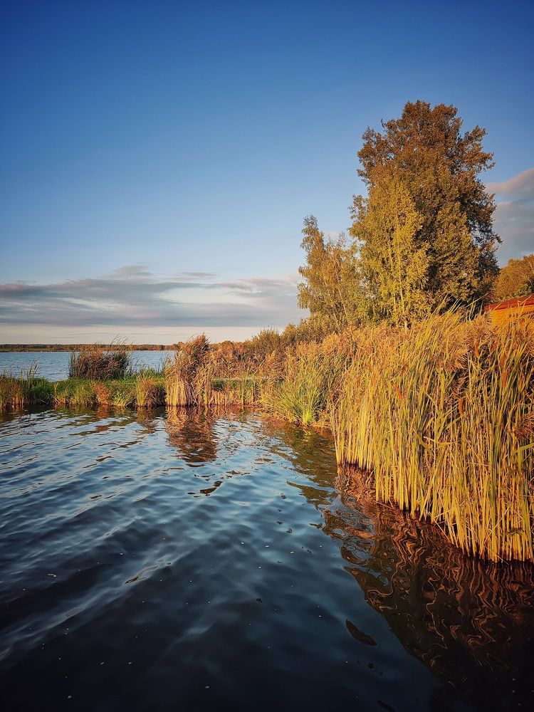 Photograph by Олеся Хижко