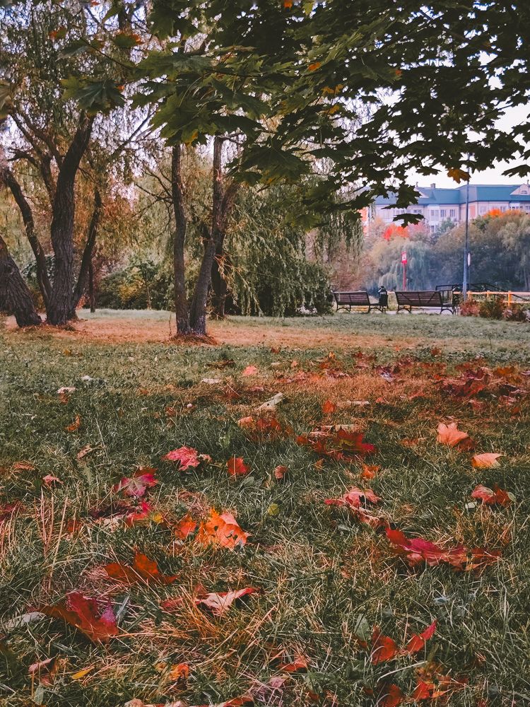 Photograph by Олеся Хижко