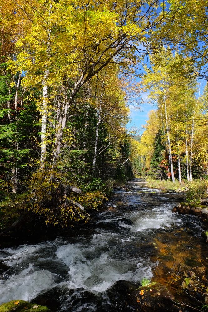 Фотография автора Андрей Ильков
