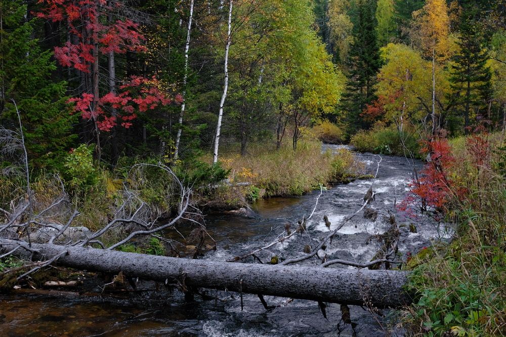 Фотография автора Андрей Ильков