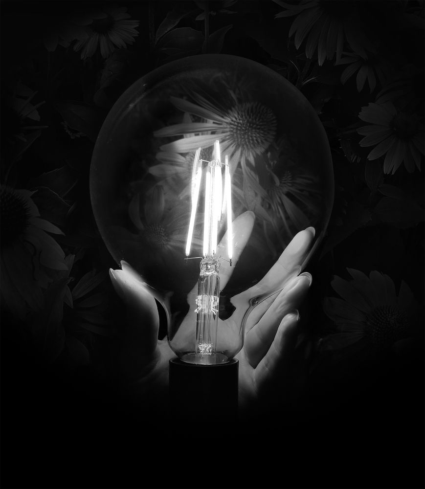 Photograph by Анастасия