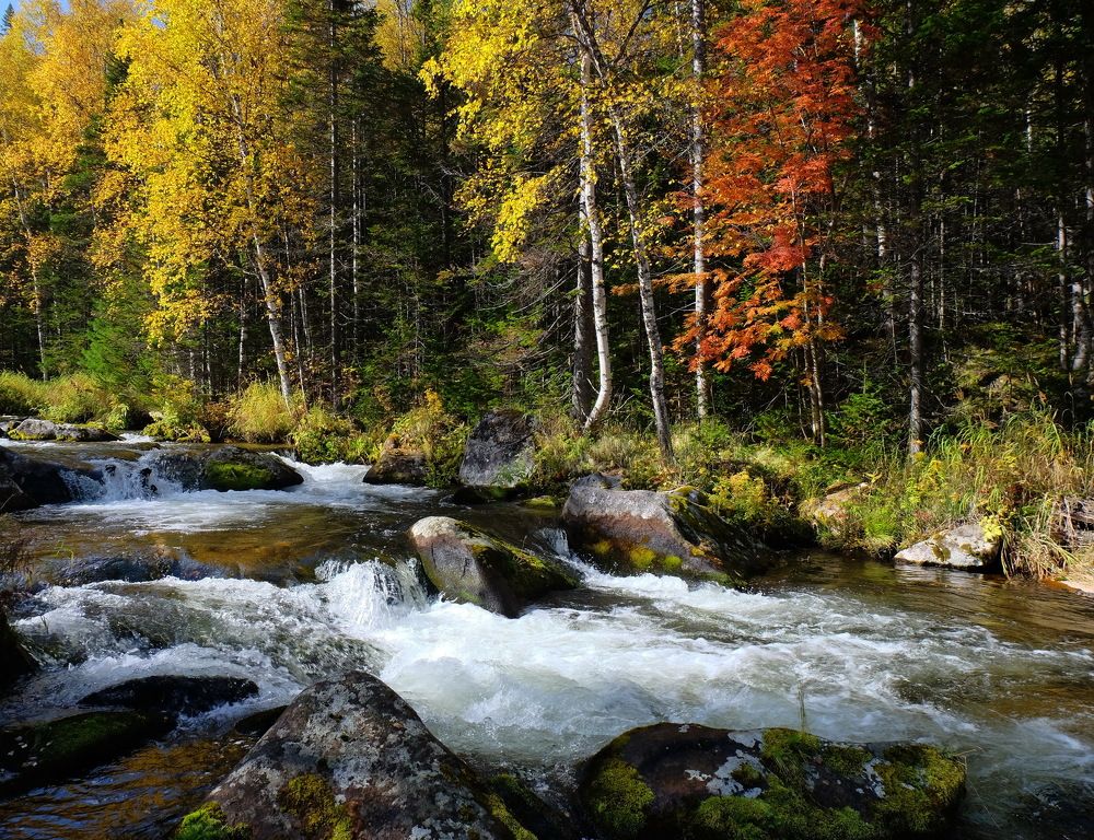 Фотография автора Андрей Ильков