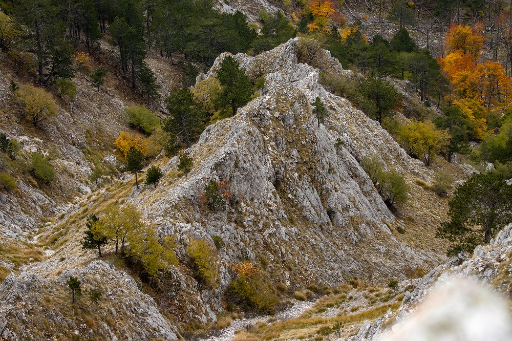 Photograph by Sajkovski Dejan