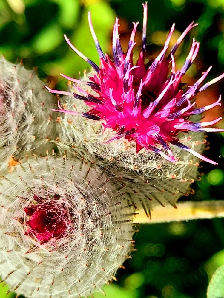 Photograph by Ольга Юрченко