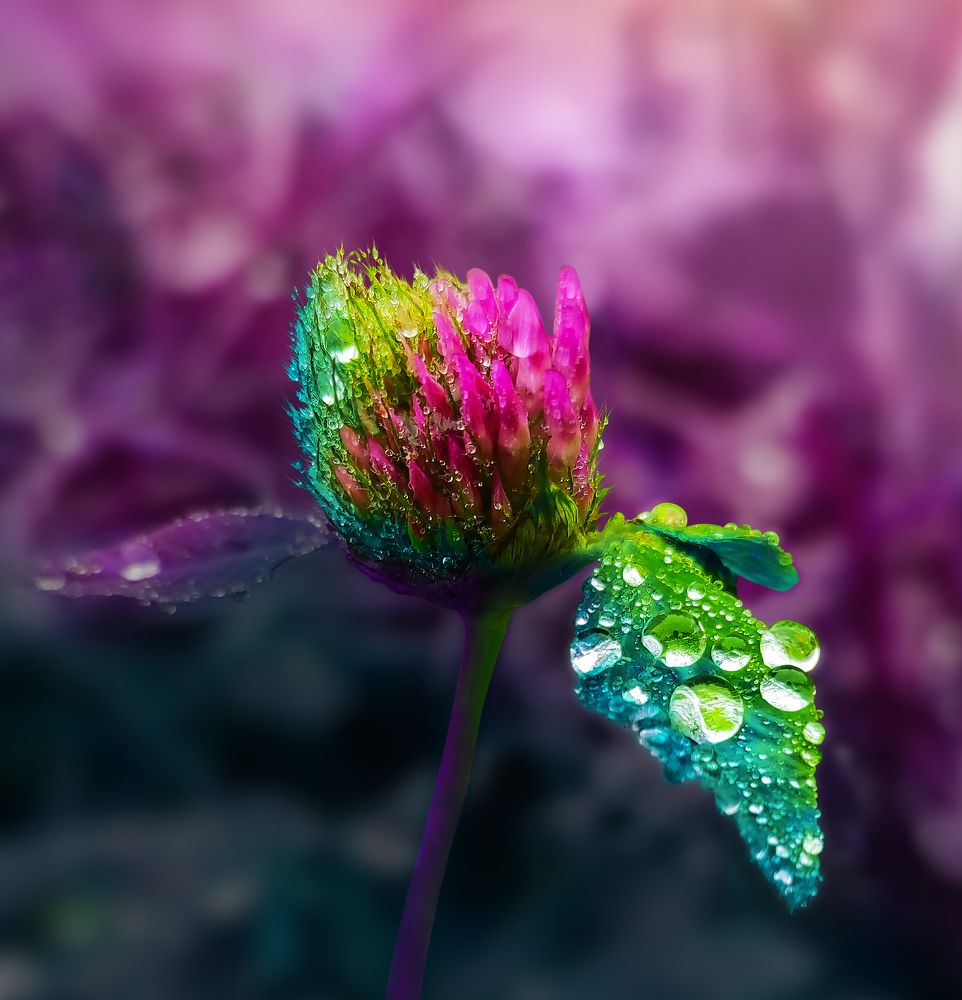 Photograph by Анастасия