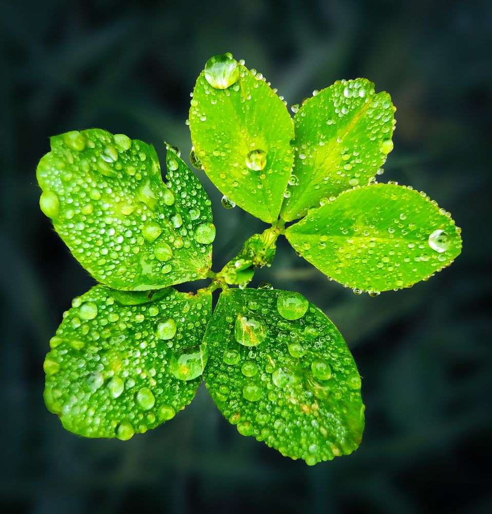 Photograph by Анастасия