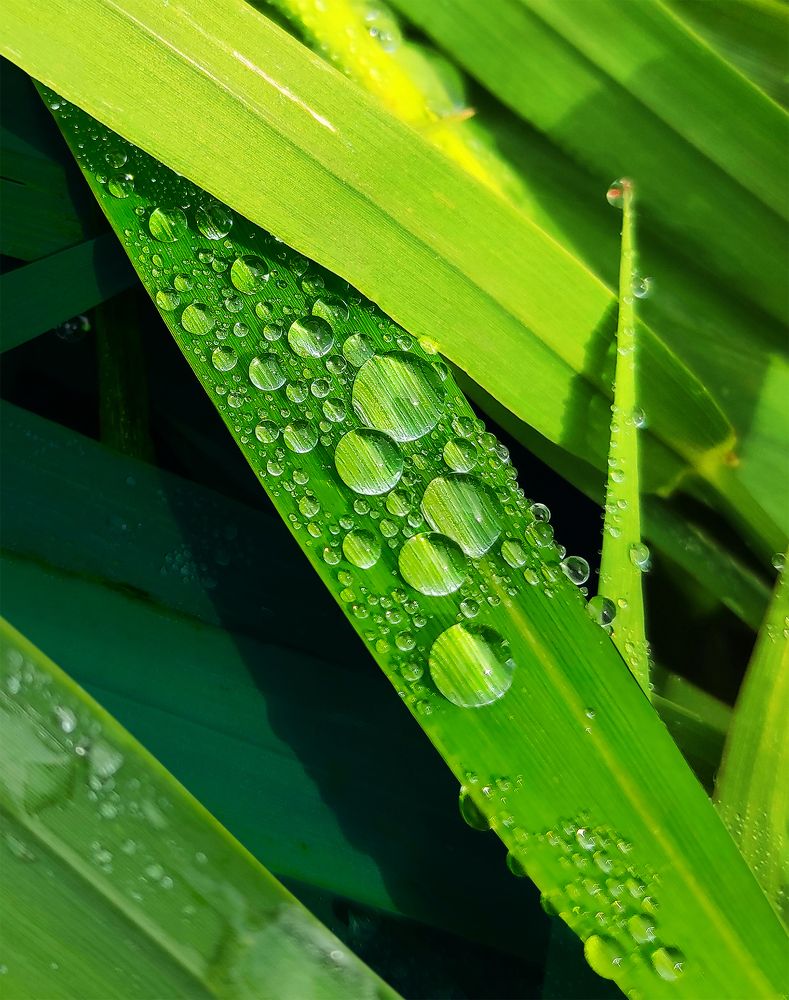 Photograph by Анастасия