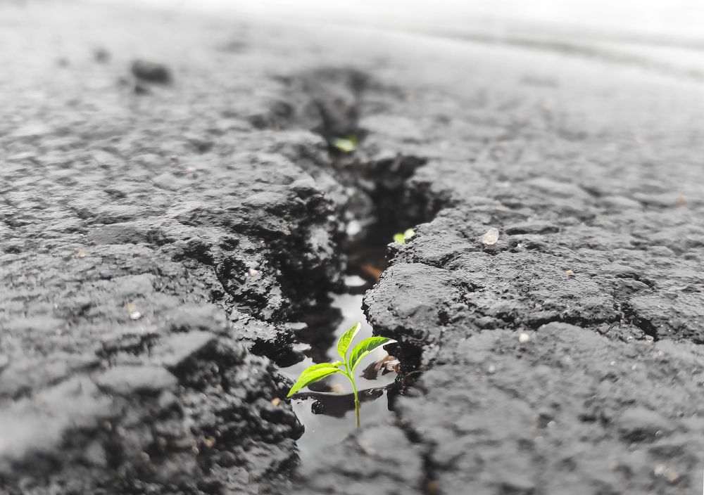 Photograph by Анастасия