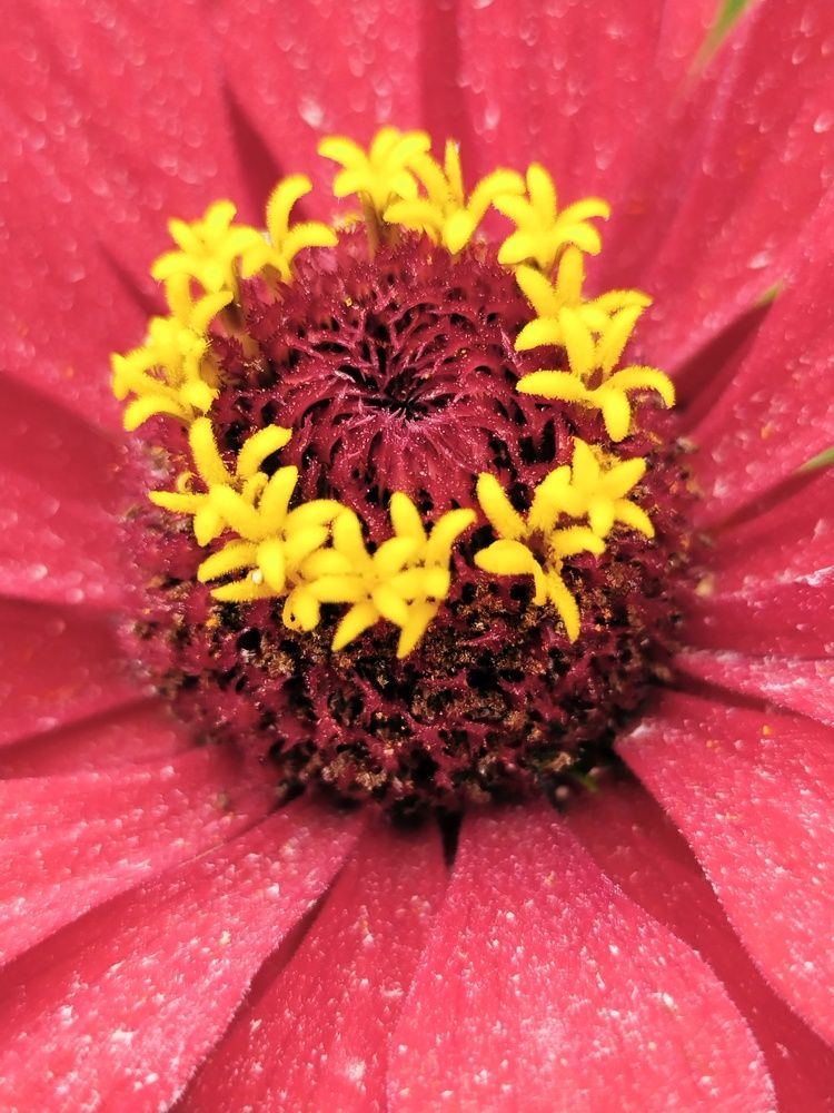 Photograph by Sergey Kurkov-Tarkovsky