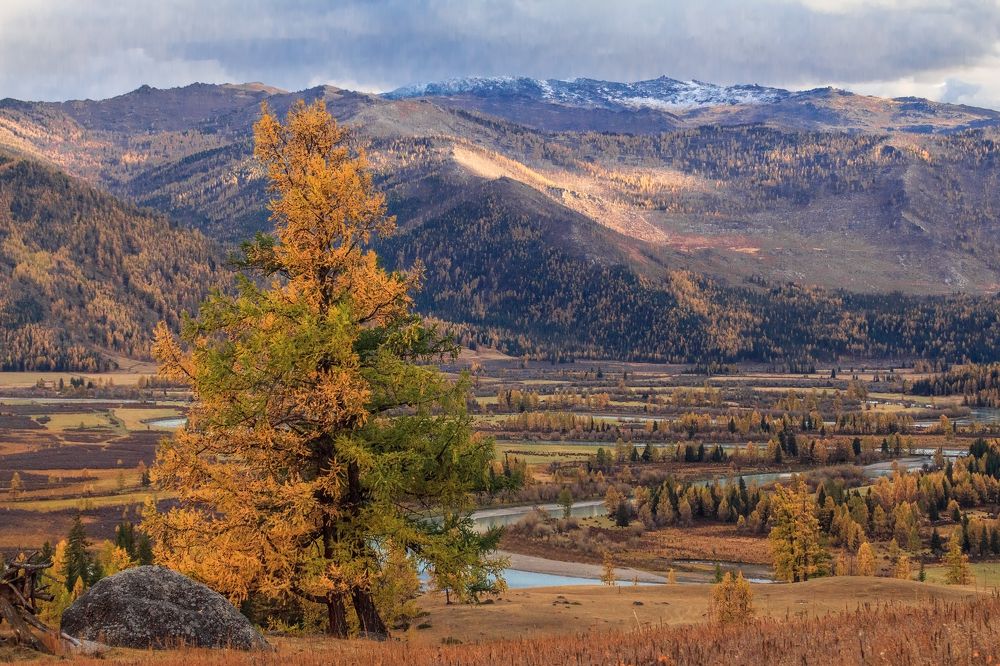 Фотография автора Галина Шепелева