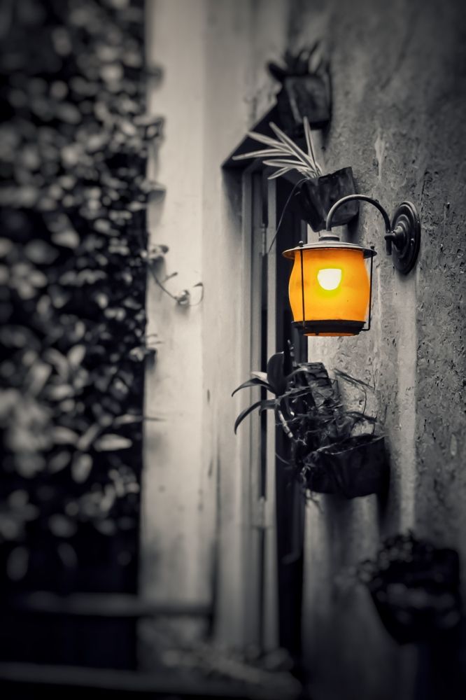 Photograph by Márcio Garcia