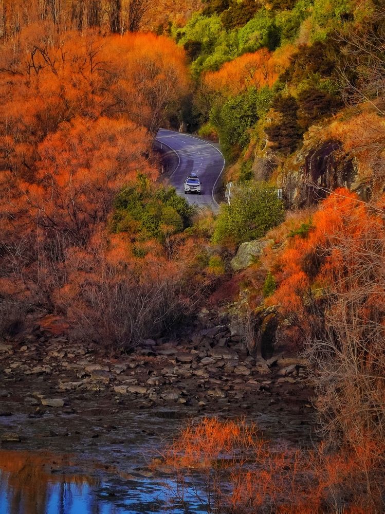 Фотография автора Henri Fitriadi