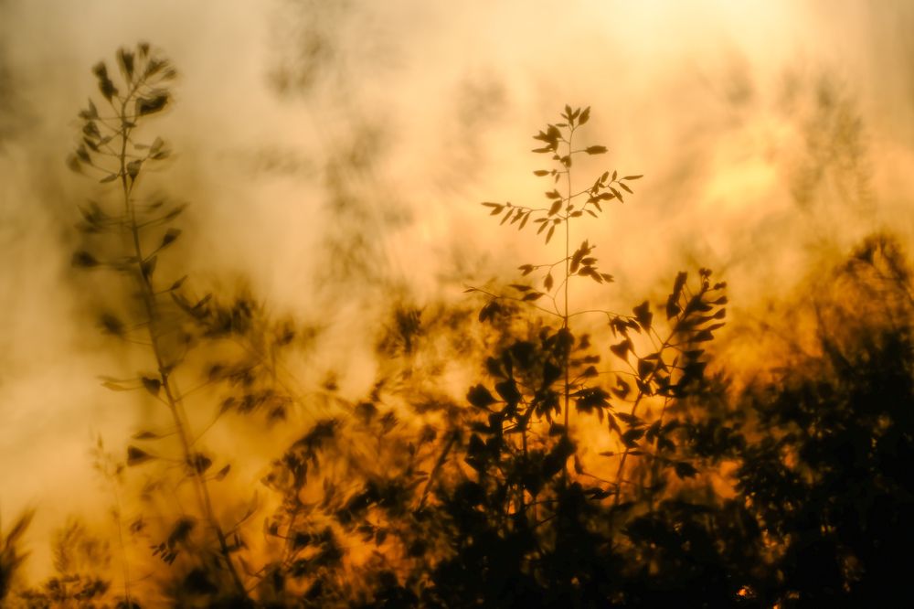 Photograph by Василий Арлашов