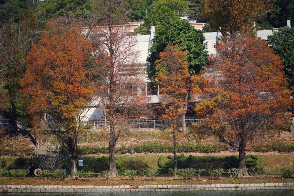 Photograph by Jonna Sabenorio