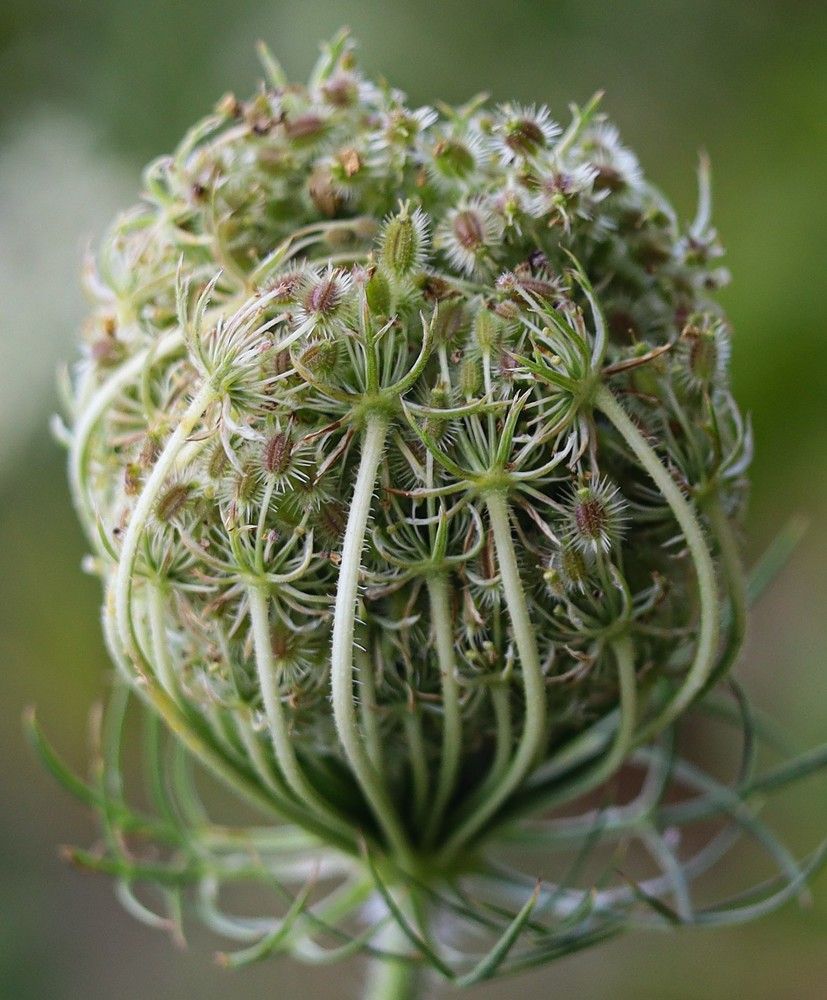 Photograph by Наталья Трофимова