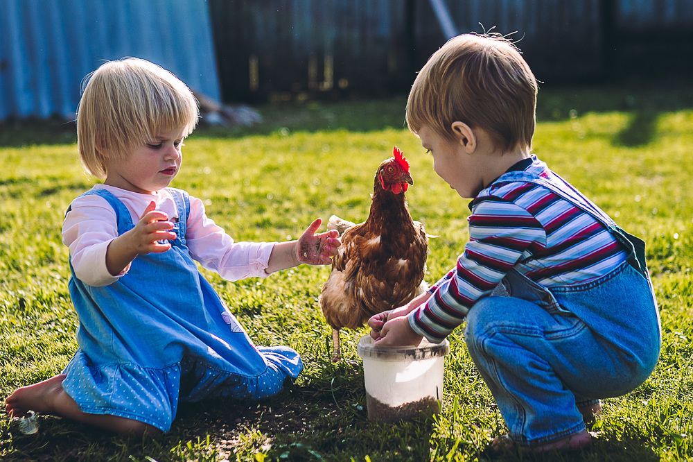 Photograph by Виктория Ковалева