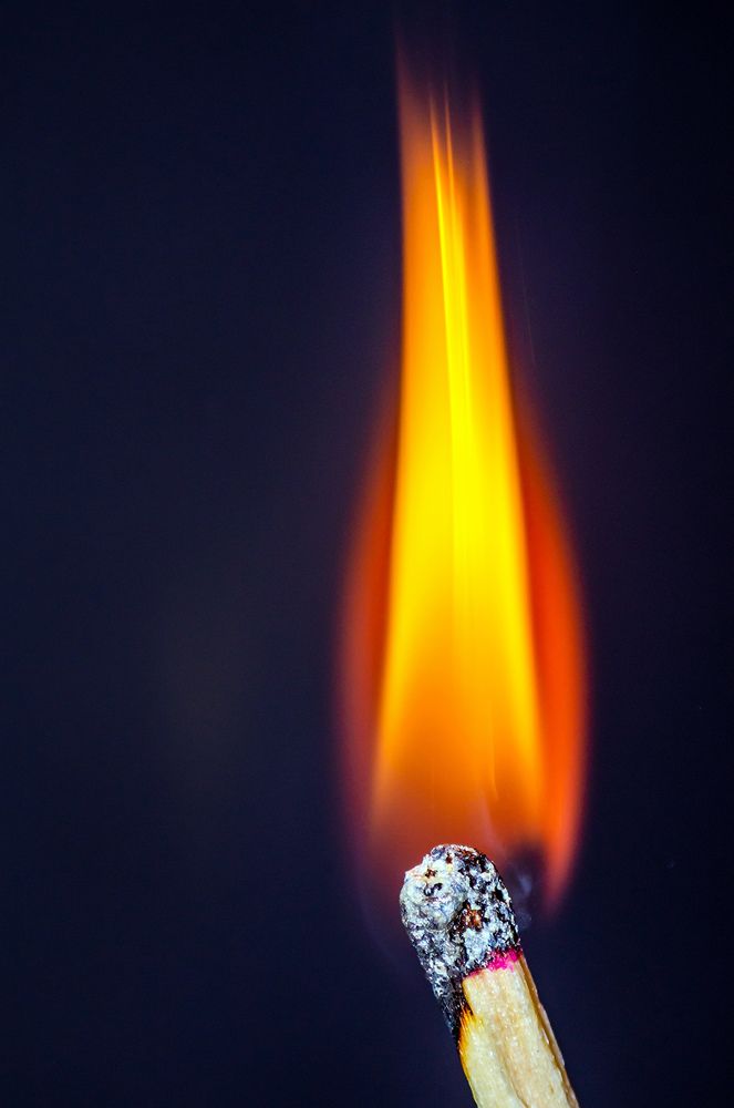 Photograph by Sahar Jafari