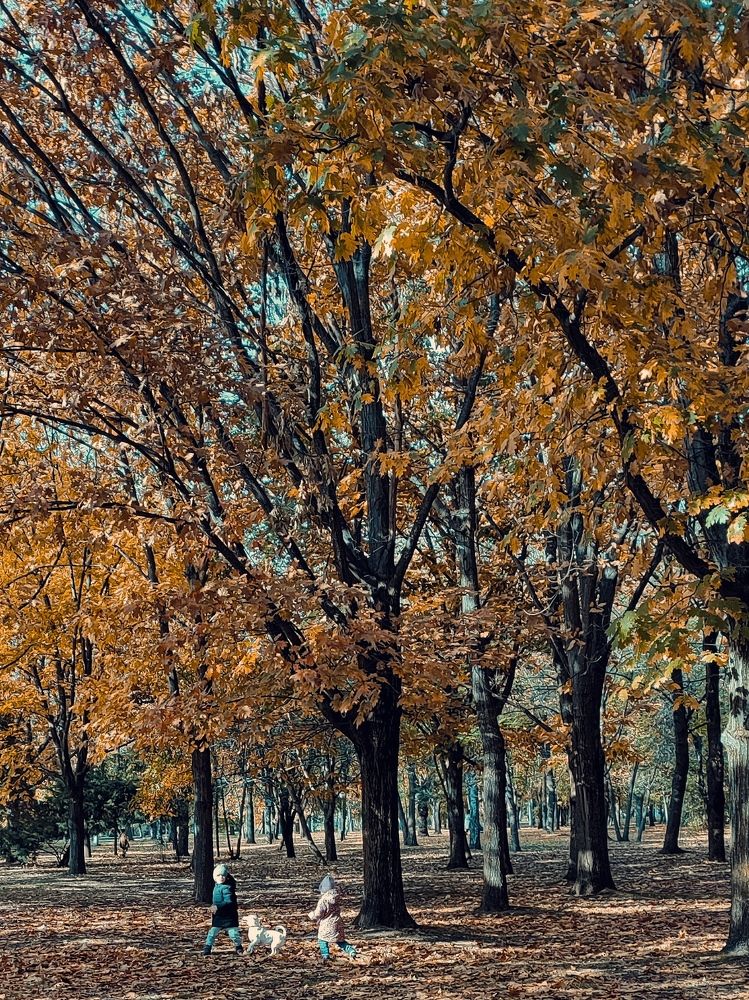 Photograph by Olga Gorokhova
