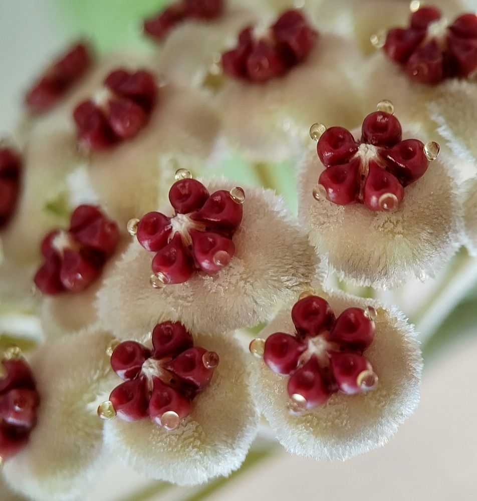 Photograph by Oksana