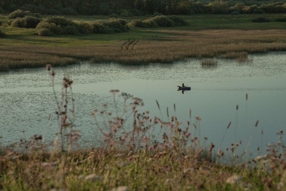Фотография автора Елизавета Ковалева