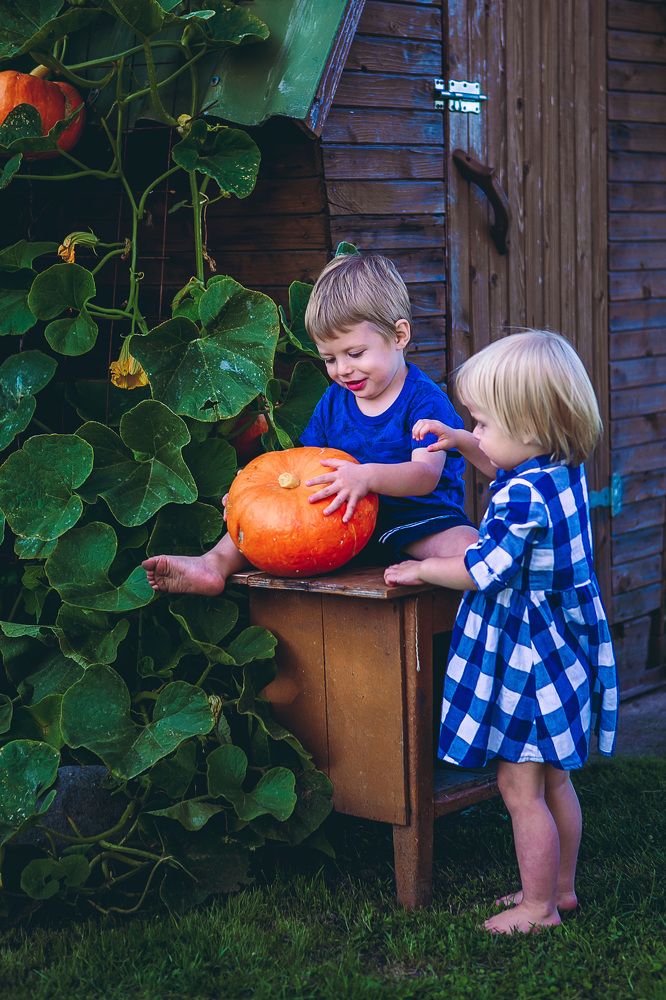 Photograph by Виктория Ковалева