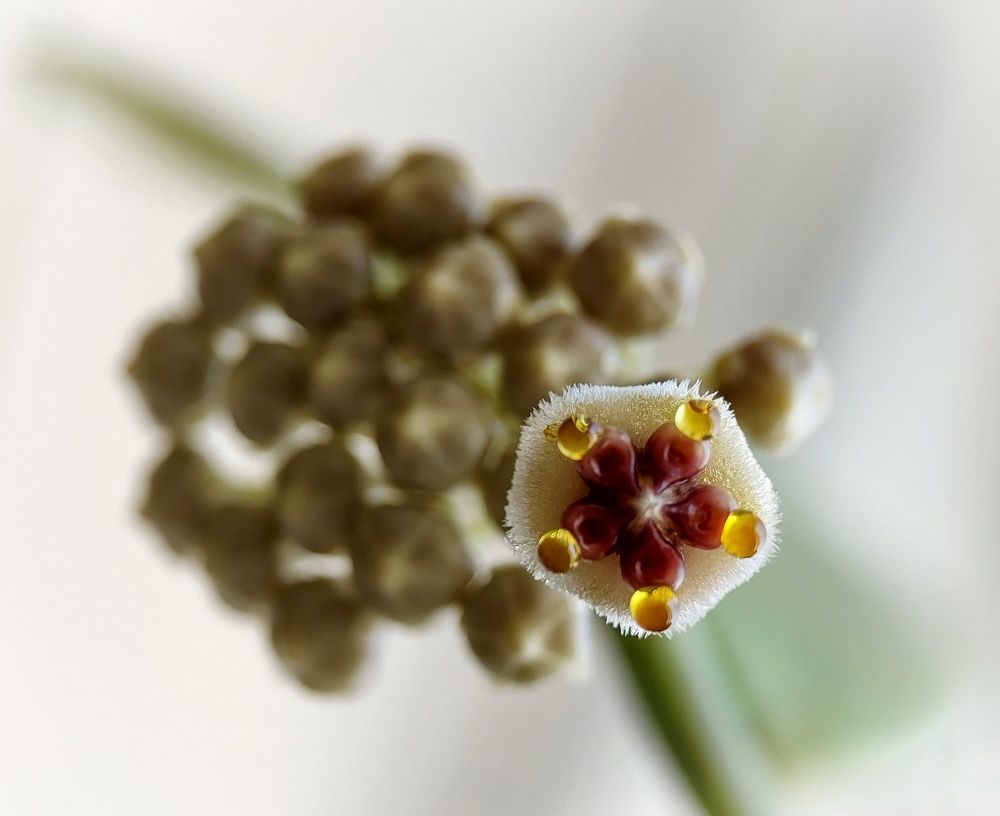 Photograph by Oksana