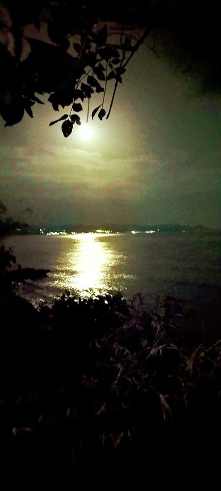 Photograph by Ivan