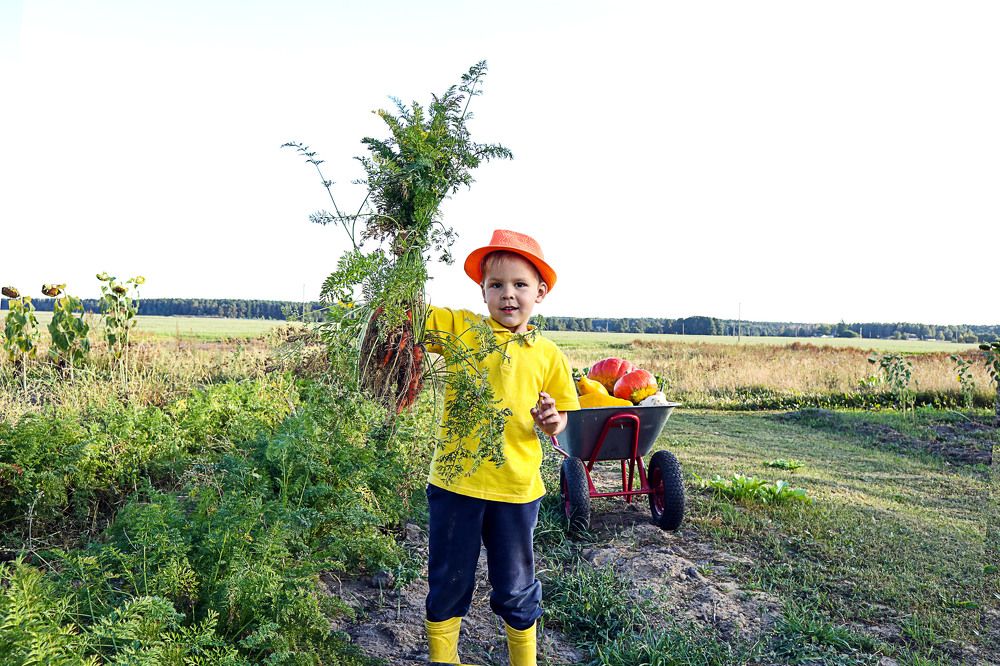 Photograph by Мария Самолевич