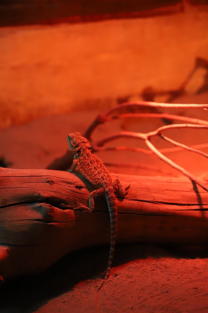 Photograph by Александр Морев