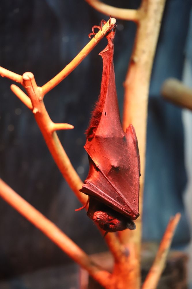 Photograph by Александр Морев