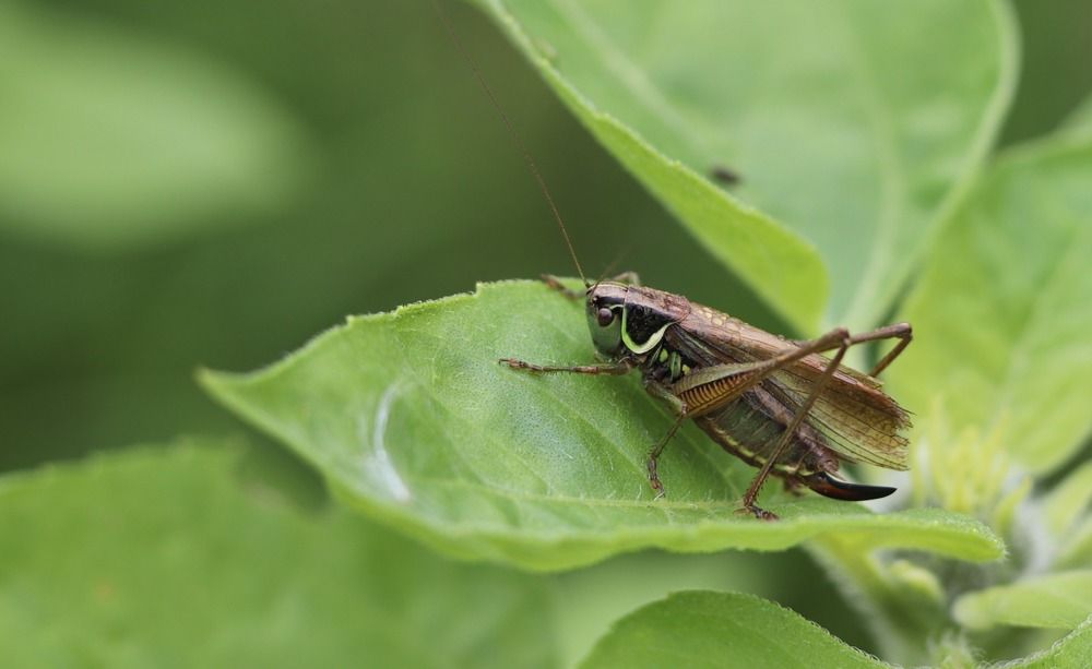 Photograph by Светлана Соколова