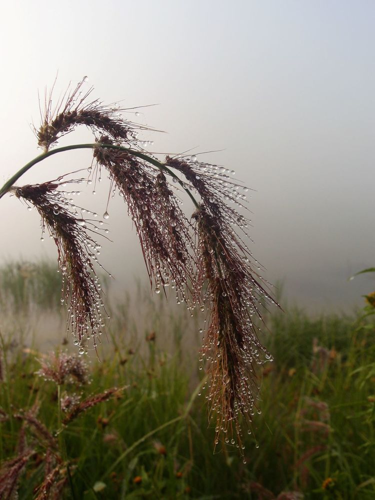 Photograph by Карпенко Александр