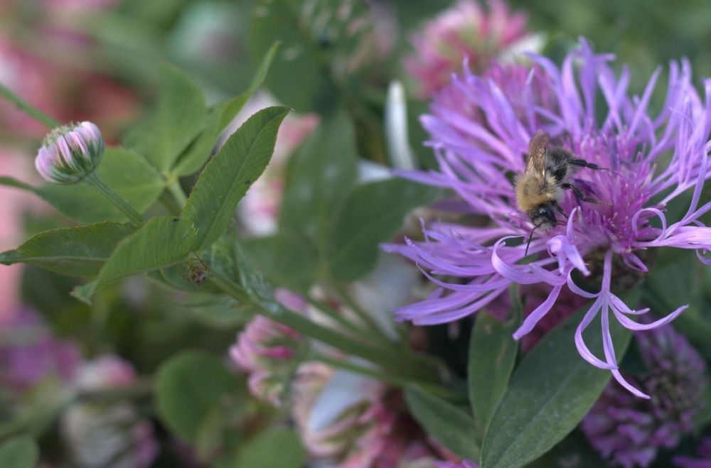 Photograph by Светлана Соколова