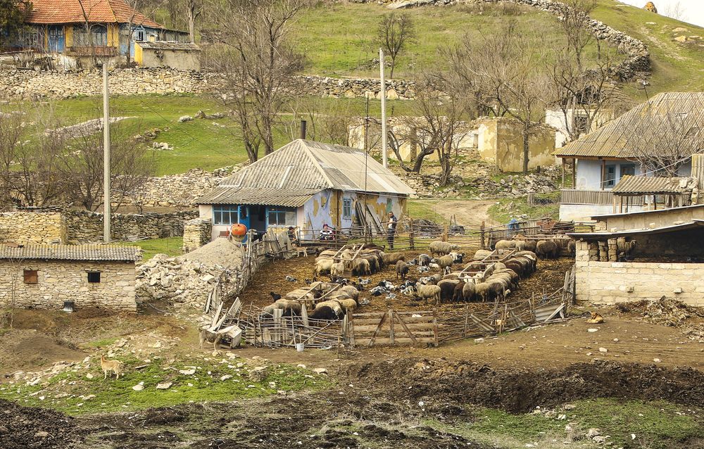 Photograph by Валерия Маркова