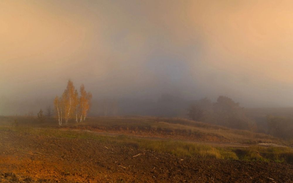 Фотография автора Михаил Назаров