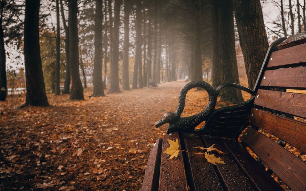 Фотография автора Михаил Назаров