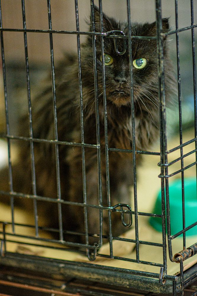 Photograph by Елена Берсенёва