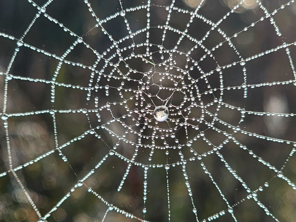 Photograph by Svetlana Dorokhova