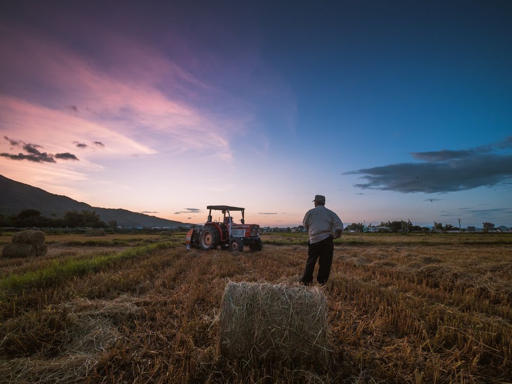 Фотография автора Pham Anh Vu