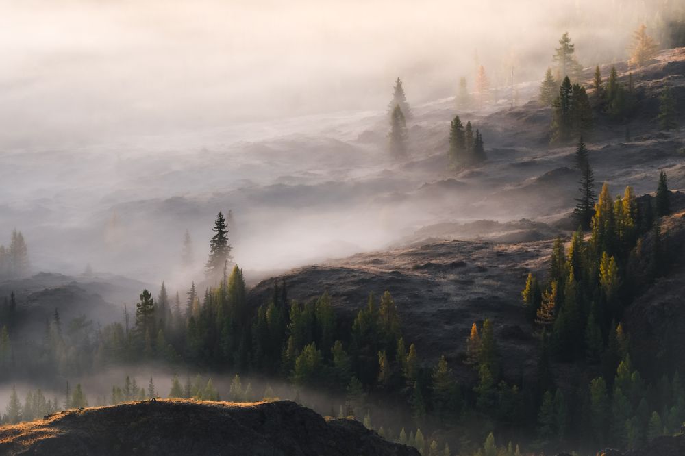 Photograph by Tatiana Meshcheryakova