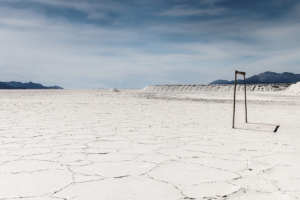 Фотография автора Carlos Gianoli