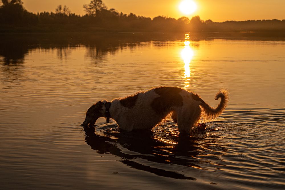 Photograph by наталья залогина