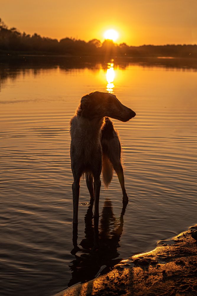 Photograph by наталья залогина