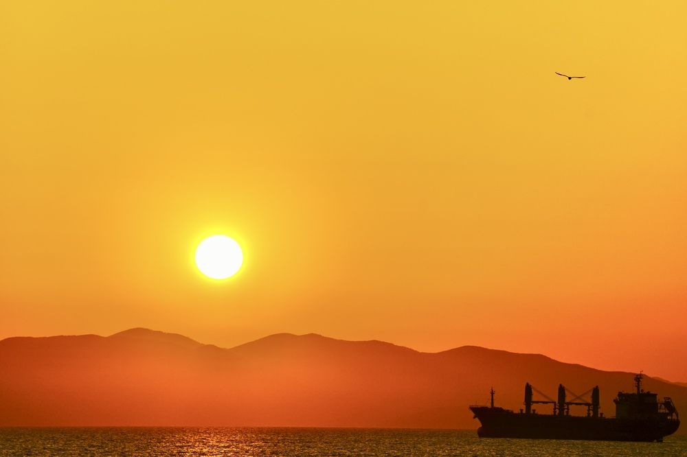 Фотография автора Liudmila Kiermeier