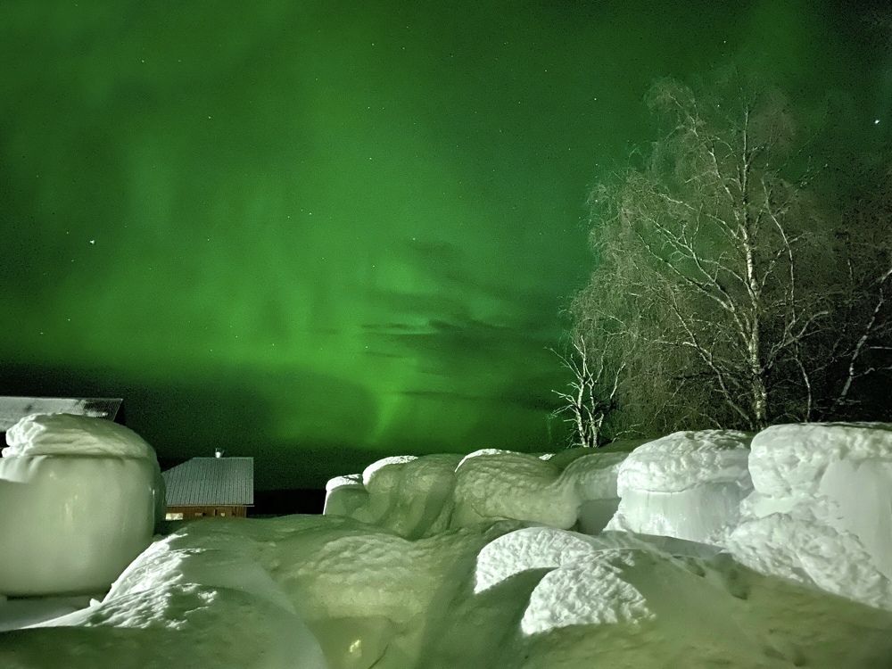 Photograph by Janina Segeda