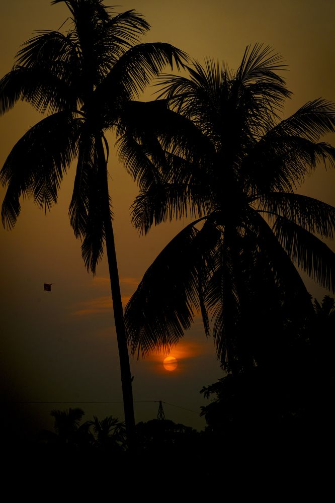 Фотография автора Swati Biswas Guha