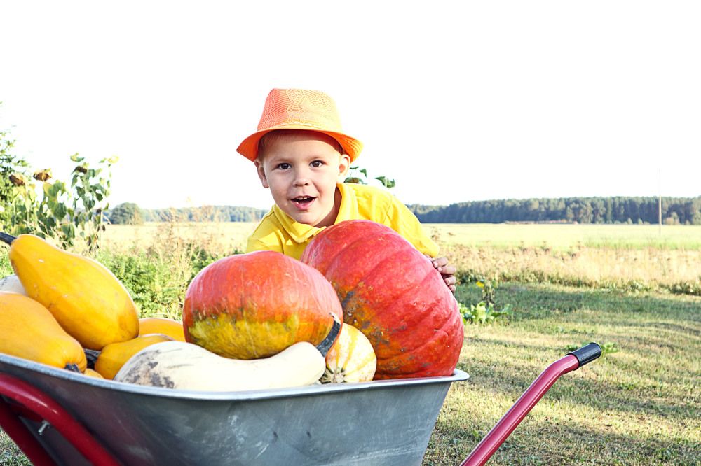 Photograph by Мария Самолевич